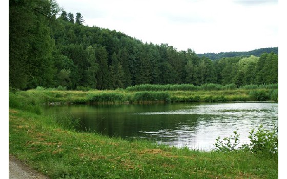 Geo-Naturpark Bergstraße-Odenwald