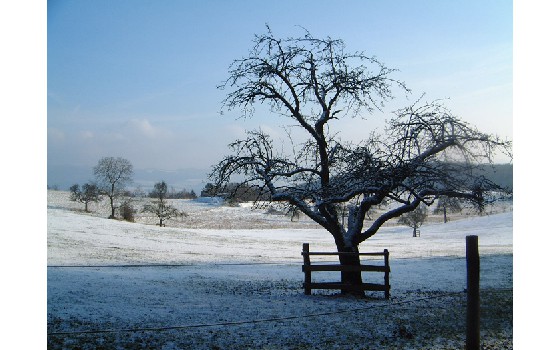 Odenwälder Winterlandschaft