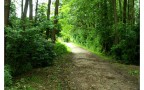 Radeln und Mountainbiken im Odenwald