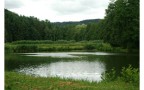 Natur pur - Ihr Ziel im Odenwald